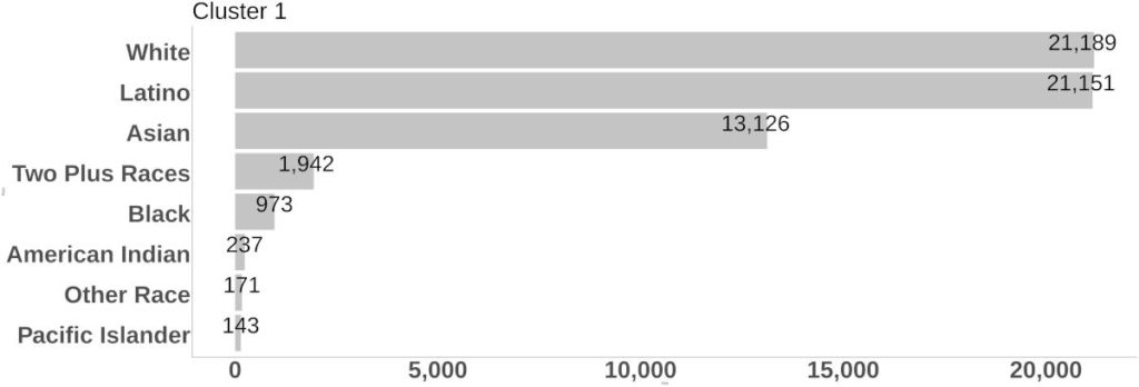 Cluster 1 Race/Ethnicity bar graph.