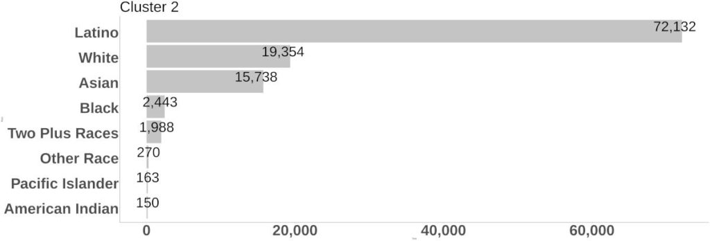 Cluster 2 Race/Ethnicity bar graph.