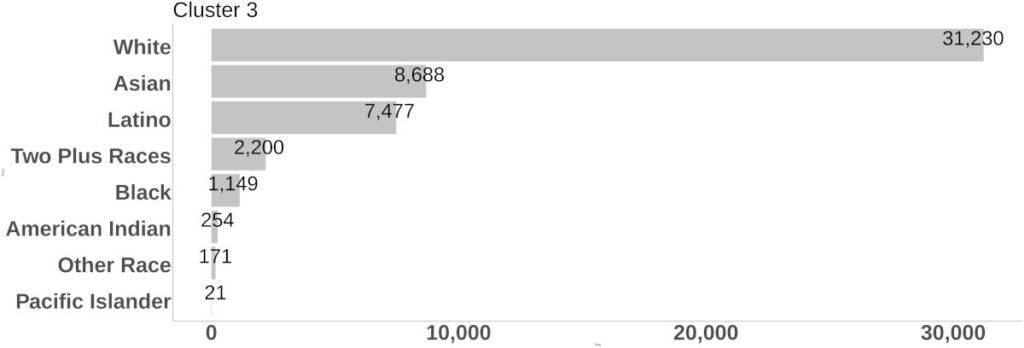 Cluster 3 Race/Ethnicity bar graph.