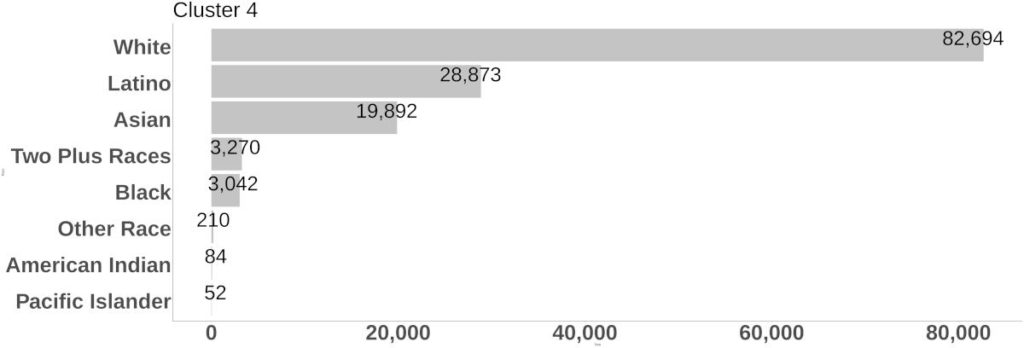 Cluster 4 Race/Ethnicity bar graph.