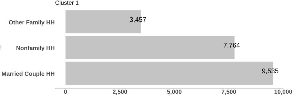 Cluster 1 Household Composition bar graph.