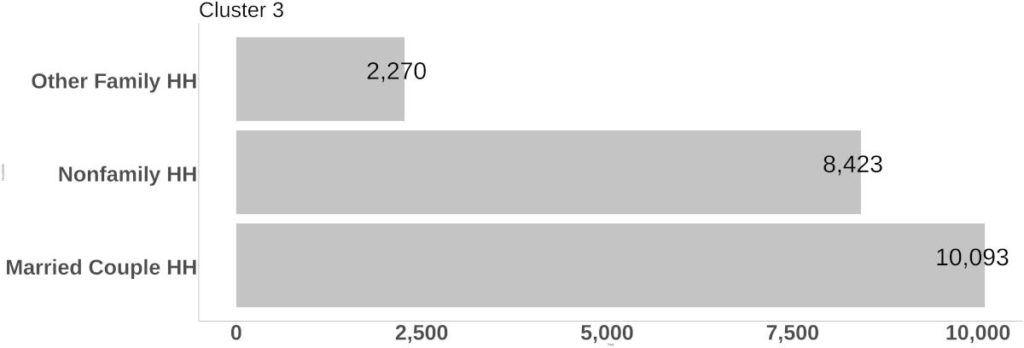 Cluster 3 Household Composition bar graph.