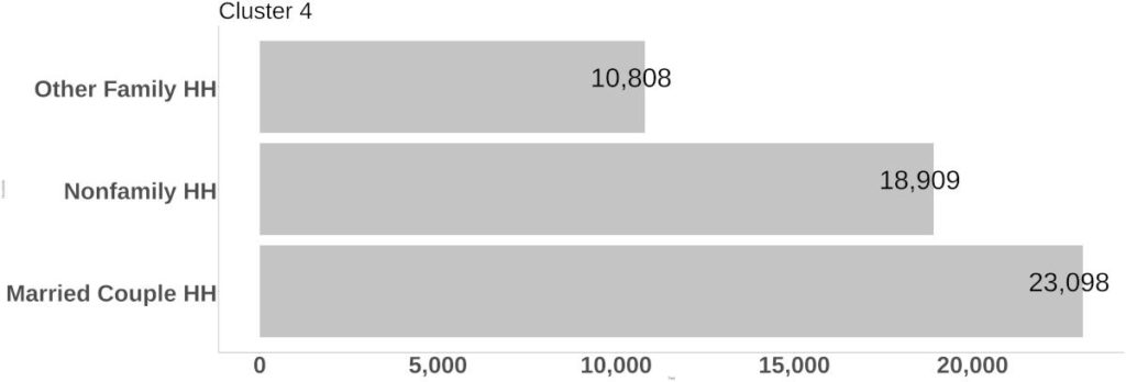 Cluster 4 Household Composition bar graph.