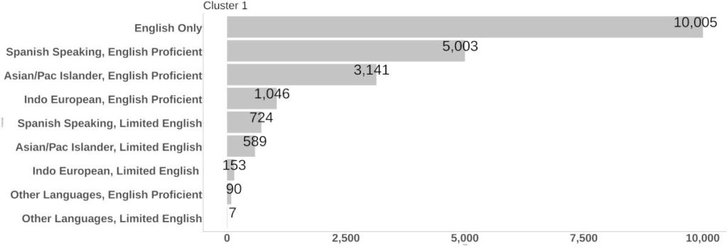 Cluster 1 Language at Home bar graph.