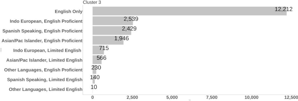 Cluster 3 Language at Home bar graph.