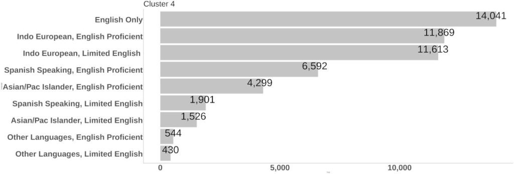 Cluster 4 Language at Home bar graph.